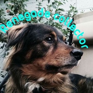Meet your Posher, Renegade